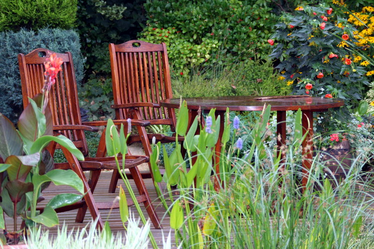 Jardins aquatiques de r�ve en ville 1  1 