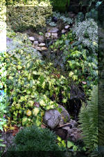 Jardins aquatiques de r�ve en ville 1  16 