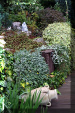 Jardins aquatiques de r�ve en ville 1  9 