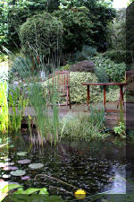 Jardins aquatiques de r�ve en ville 2  27 