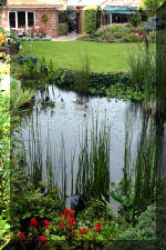 Jardins aquatiques de r�ve en ville 2  17 