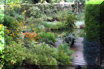 Jardins aquatiques de r�ve en ville 2  20 