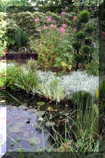 Jardins aquatiques de r�ve en ville 3  31 