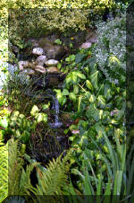 Jardins aquatiques de r�ve en ville 3  19 