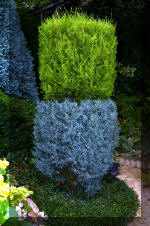 Jardins aquatiques de r�ve en ville 3  12 