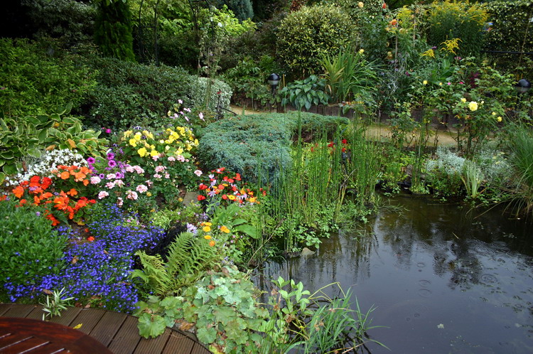 Jardins aquatiques de r�ve en ville 3  1 