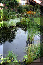 Jardins aquatiques de r�ve en ville 3  3 