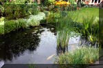 Jardins aquatiques de r�ve en ville 3  6 