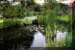 Jardins aquatiques de r�ve en ville 3  4 