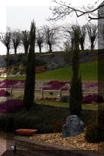 Un bassin de jardin de r�ve au printemps   4 