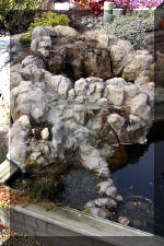 Un bassin de jardin de r�ve au printemps   12 