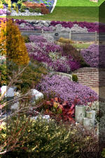 Un bassin de jardin de r�ve au printemps   21 