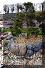 Un bassin de jardin de r�ve au printemps   23 