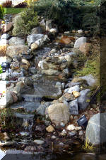 Un bassin de jardin de r�ve au printemps   27 