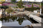 Un bassin de jardin de r�ve au printemps   28 