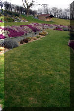 Un bassin de jardin de r�ve au printemps   48 