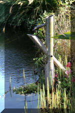 Le jardin aquatique de Scoubidou automne 2005  26 