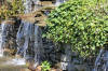 Aqua garden center : le jardin de  d�monstration en 2008 page 2  30 