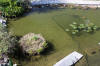 Aqua garden center : le jardin de  d�monstration en 2008 page 2  19 