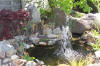 Aqua garden center : le jardin de  d�monstration en 2008 page 2  6 