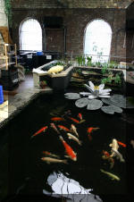 biotop le sp�cialiste du ko� de qualit�  10 