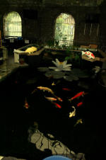 biotop le sp�cialiste du ko� de qualit�  27 