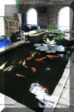 biotop le sp�cialiste du ko� de qualit�  3 