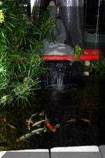 biotop le sp�cialiste du ko� de la r�gion de Vervier  4 