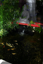 biotop le sp�cialiste du ko� de la r�gion de Vervier  3 