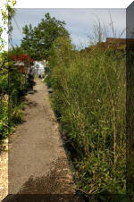 Bonsa� Service LA SERREBonsa� Service LA DECO  3 