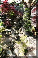 Bonsa� Service LA SERRE 2  15 