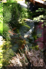 Bonsa� Service LA SERRE 2  12 