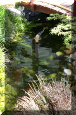 Bonsa� Service LA SERRE 2  11 