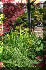 Bonsa� Service LA SERRE 2  2 