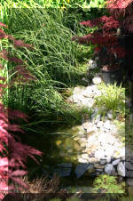 Bonsa� Service LA SERRE 2  1 