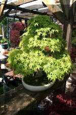 Bonsa� service c'est bien s�r un grand choix  17 