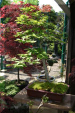 Bonsa� service c'est bien s�r un grand choix  10 