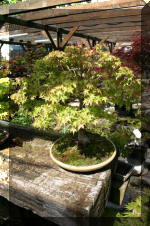 Bonsa� service c'est bien s�r un grand choix  9 