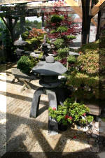 Bonsa� service c'est bien s�r un grand choix IMAGES  20 