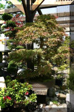 Bonsa� service c'est bien s�r un grand choix IMAGES  19 