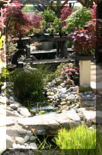 Bonsa� service c'est bien s�r un grand choix IMAGES  16 