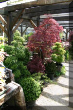 Bonsa� service c'est bien s�r un grand choix IMAGES  15 