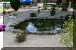 Le Ko� le sp�cialiste en ko� et bassin de jardin de Luttre  3 