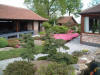  Paradise of Japanese Ko� le jardin  15 
