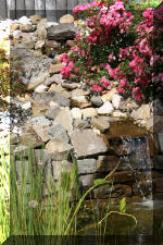 Fisette 4 - un micro bassin de 1.5m�  12 