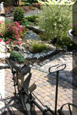 Fisette 4 - un micro bassin de 1.5m�  55 