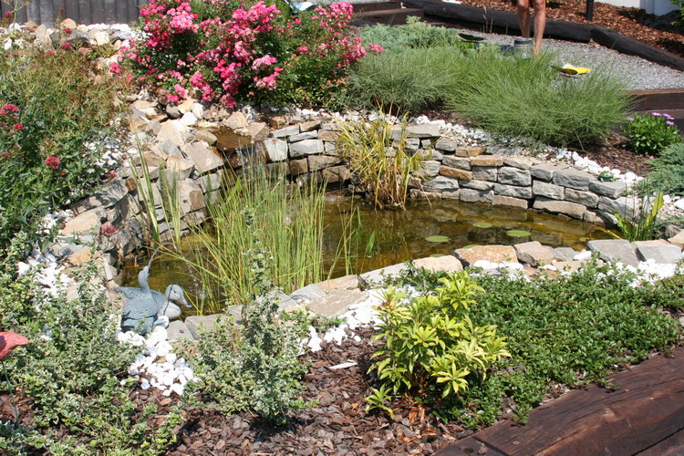 Fisette 4 - un micro bassin de 1.5m�  2 