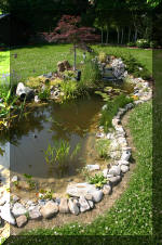 Fisette 6 - un micro bassin de 3m�  3 