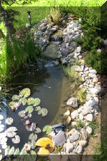 Fisette 6 - un micro bassin de 3m�  19 