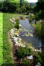 Fisette 6 - un micro bassin de 3m�  23 